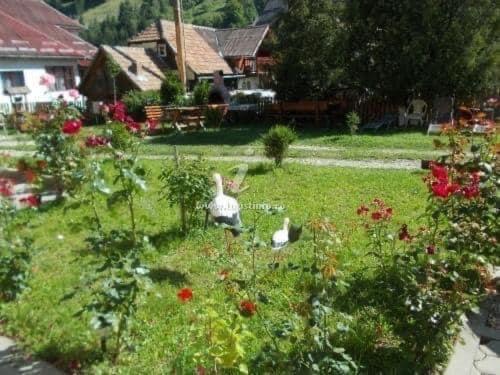 Готель Casa Maria Moieciu C Моєчу-де-Сус Екстер'єр фото
